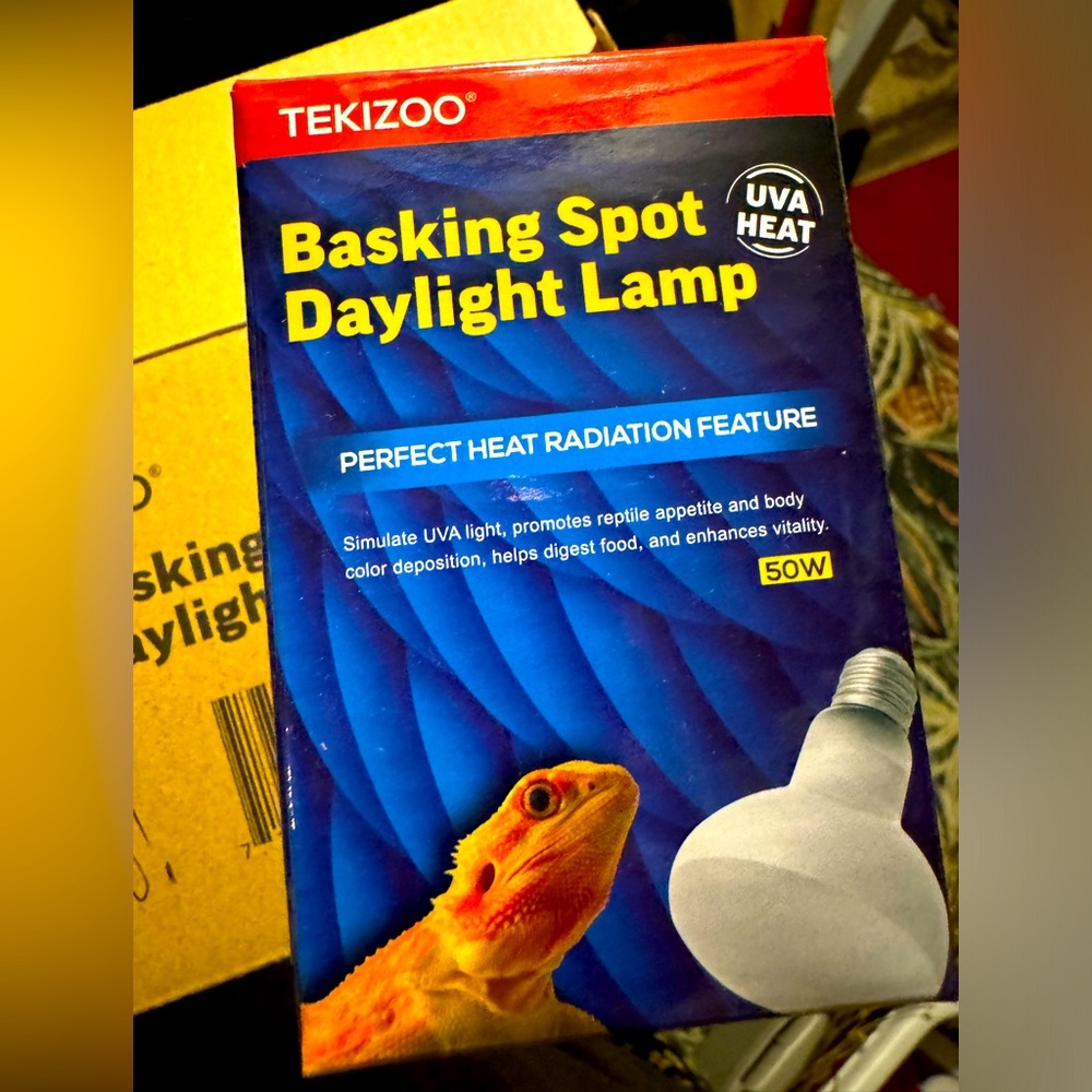 Basking reptile 🦎 light (Set of 3)